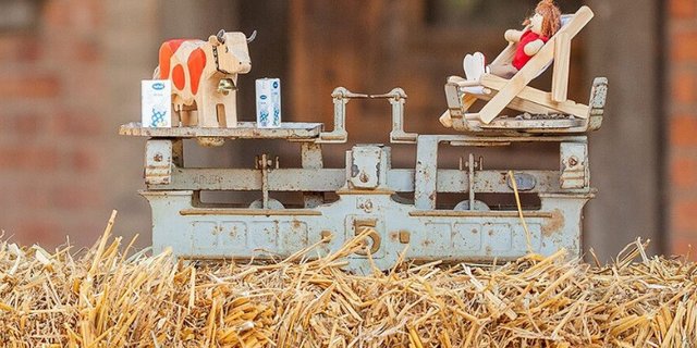 Milchproduzenten schöpfen ihre Motivation laut Studie oft aus der besonderen Lebensweise mit viel Autonomie, Kontakt zu Tieren, Arbeit in der Familie und verbunden mit der Natur. Idealerweise sollte das die hohe Arbeitsbelastung und das Angebundensein ausgleichen. (Bild BFH-HAFL) 