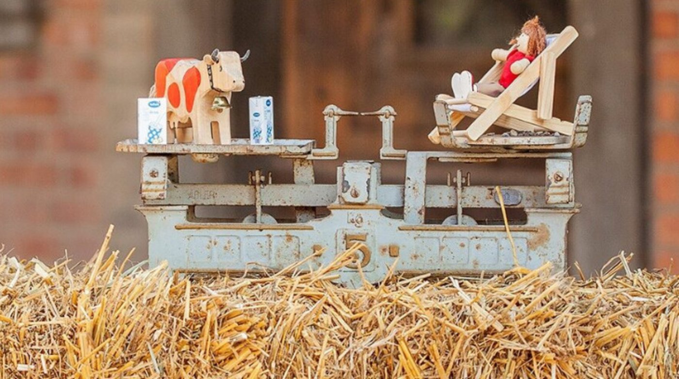 Milchproduzenten schöpfen ihre Motivation laut Studie oft aus der besonderen Lebensweise mit viel Autonomie, Kontakt zu Tieren, Arbeit in der Familie und verbunden mit der Natur. Idealerweise sollte das die hohe Arbeitsbelastung und das Angebundensein ausgleichen. (Bild BFH-HAFL) 