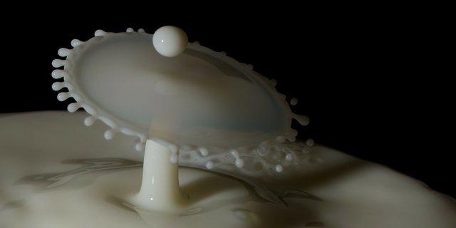 Während der letzten zehn Jahre vergrösserte sich die Preisdifferenz zwischen Molkerei- und Käsereimilch von 11,50 Rp./kg (2009) auf 14,76 Rp./kg (2018). (Bild Pixabay)