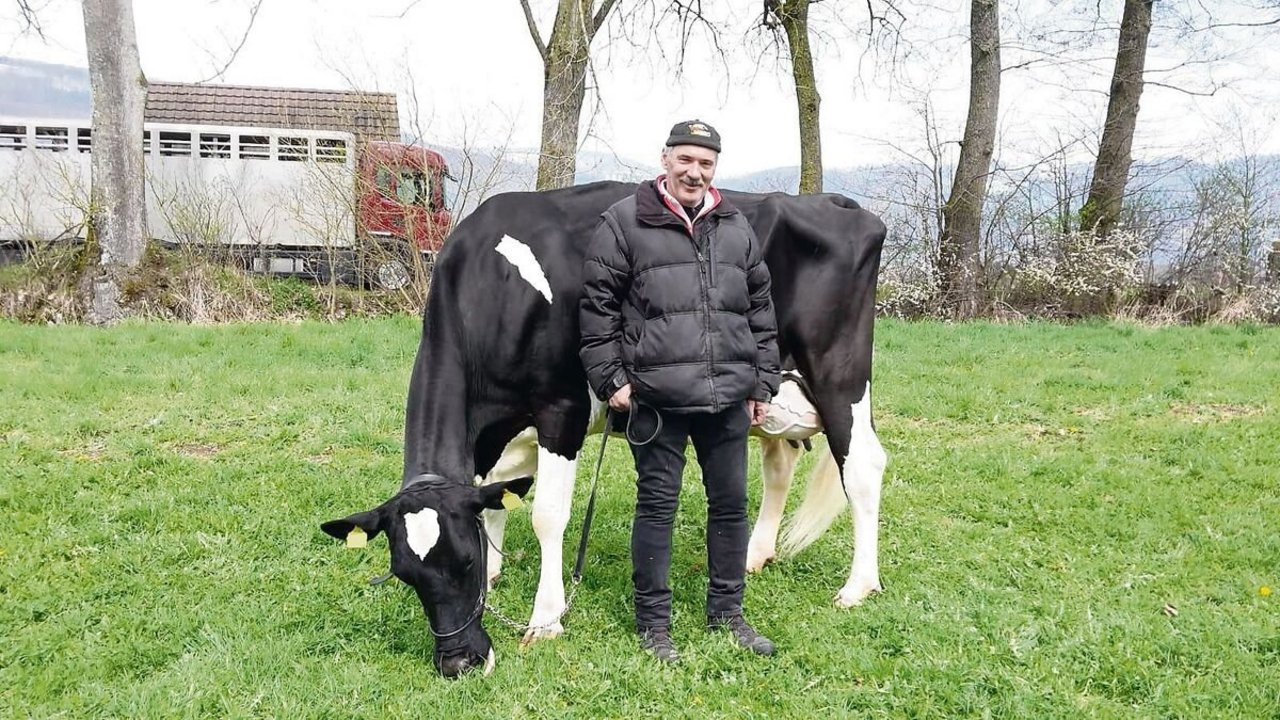 Auf «seine» Kuh Primula ist Werner Walter besonders stolz. 2019 wurde sie in Kestenholz Vize Miss Schöneuter und heuer wurde sie in einer Zuchtfamilie präsentiert.