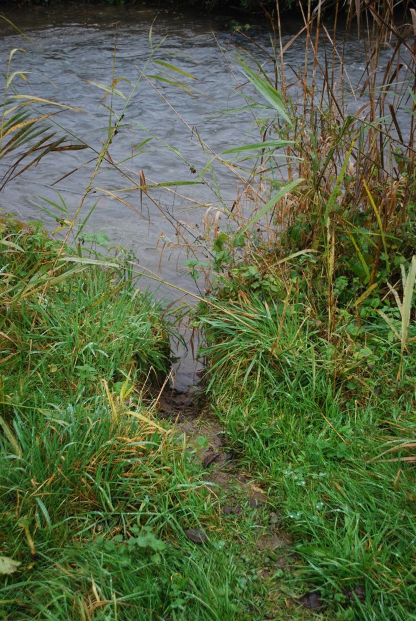 der Önz finden sich zahlreiche Biber-Ein- und -Ausstiege. Vor allem eingebrochene Höhlen sind für Mensch und Tier gefährlich.