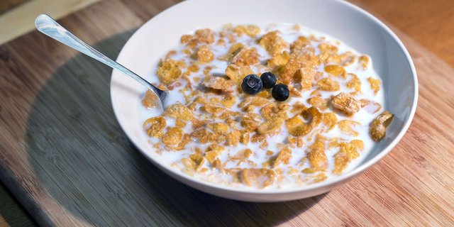 Die Frühstücksflocken könnten in Zukunft bei einer Annahme der Pflanzenschutz-Initiativen vermehrt mit ausländischer Milch zubereitet werden – weil es zu wenig aus der Schweiz gäbe oder diese zu teuer wäre, so die BOM. (Bild ImagesBG / Pixabay) 