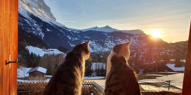  Gödu & Lise gniesse der Sunneungergang - eingesendet von Marianne Gerber