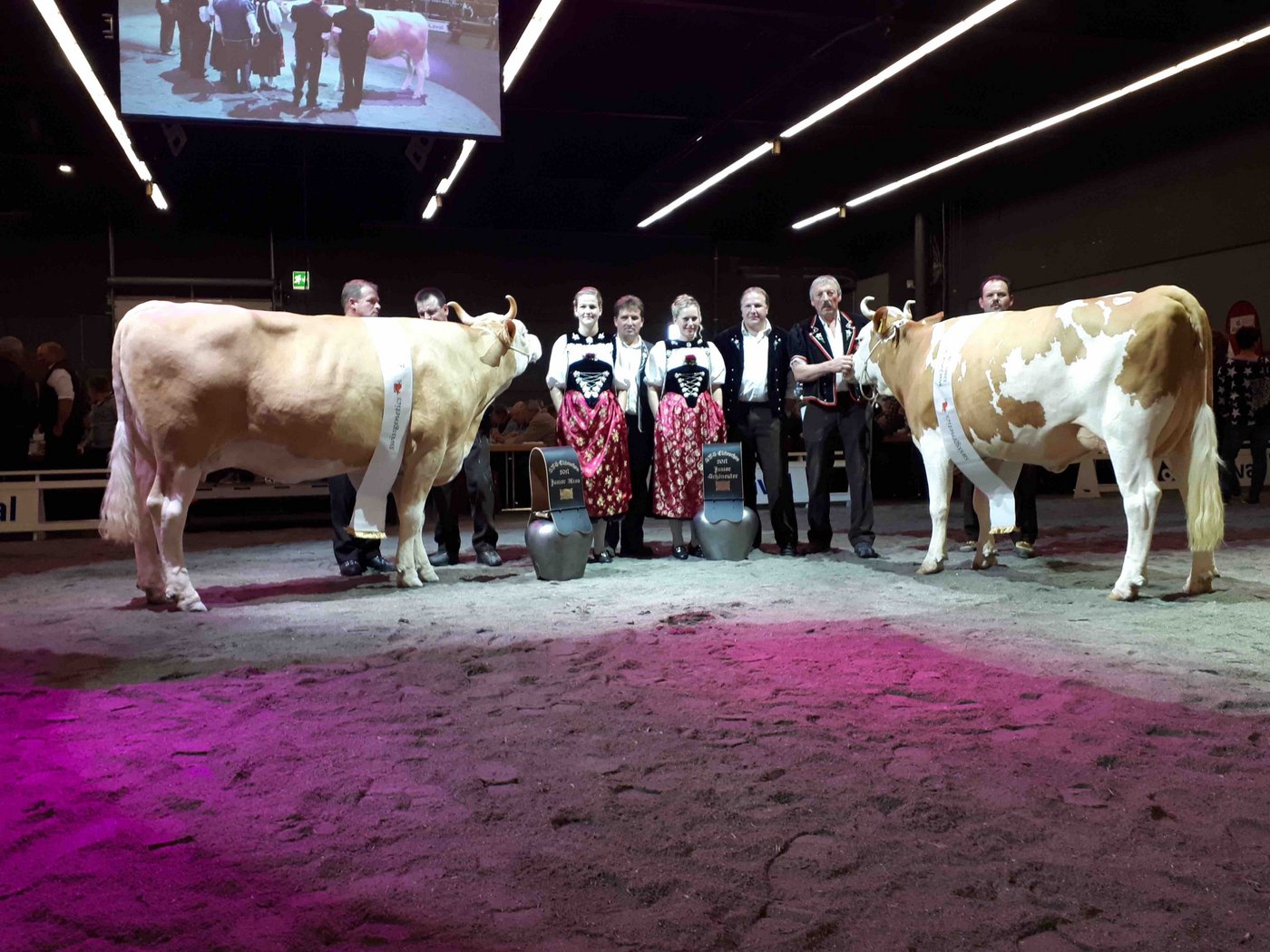 Links die Junior-Siegerin Fels Hilary von Ueli Oesch, Schwarzenegg BE und rechts die Junior Schöneuter Fabbio Nubia von Walter Wyss, Wilderswil BE.