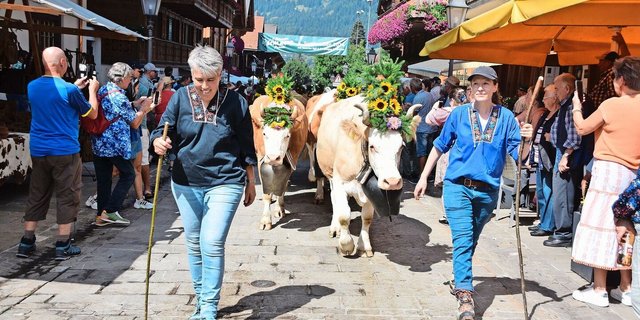Auch eindrücklich geschmückt: die reinen Simmentalerkühe von Familie Ueli und Regula Bach aus Turbach BE. Die Züglete kam von der Alp untere Zwitzeregg ins Tal.