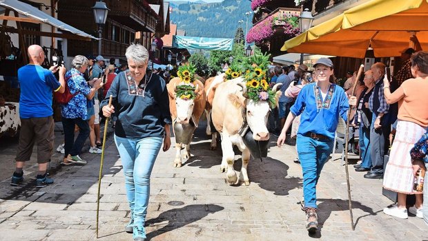 Auch eindrücklich ge Auch eindrücklich geschmückt: die reinen Simmentalerkühe von Familie Ueli und Regula Bach aus Turbach BE. Die Züglete kam von der Alp untere Zwitzeregg ins Tal.