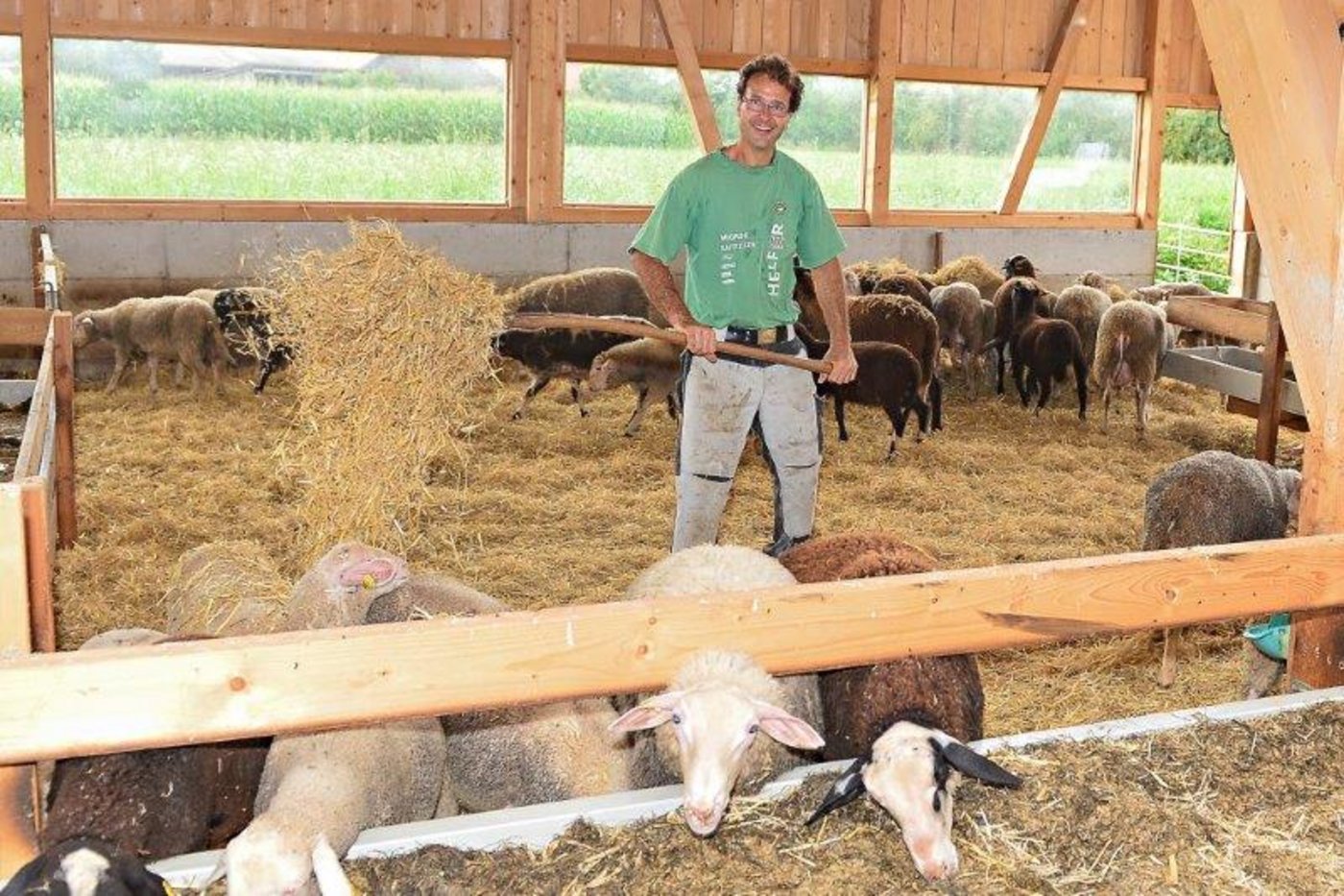 Arthur Ziegler ist nach einem steinigen Weg im neuen Stall angekommen. Er hat grosse Freude.