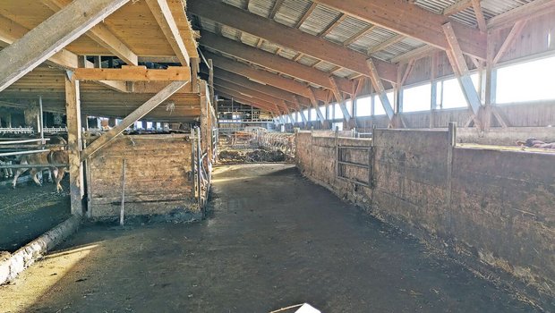 Blick in den Stall: Blick in den Stall: Wie man sich bettet, so liegt man – das gilt auch fürs Rindvieh.