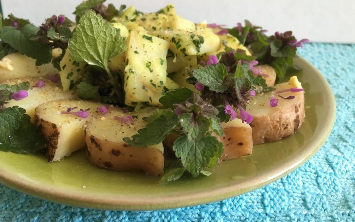 Das pilzartige Aroma der Purpur-Taubnessel passt gut zu gedämpften Kartoffeln, klein geschnittener Bärlauch bereichert z. B. Knollensellerie. (Bilder jsc)