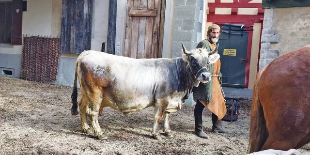 Auch am Filmset des Kinohits «Zwingli» stellte Greina ihr liebes und geduldiges Wesen unter Beweis. (Bild Susanne Knaus)