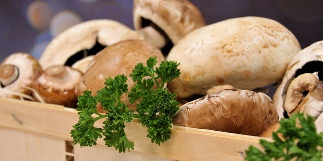Champignons sind die meistgekauften Pilze in der Schweiz. (Bild Pixabay)