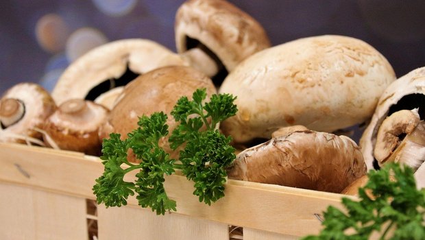 Champignons sind die meistgekauften Pilze in der Schweiz. (Bild Pixabay)