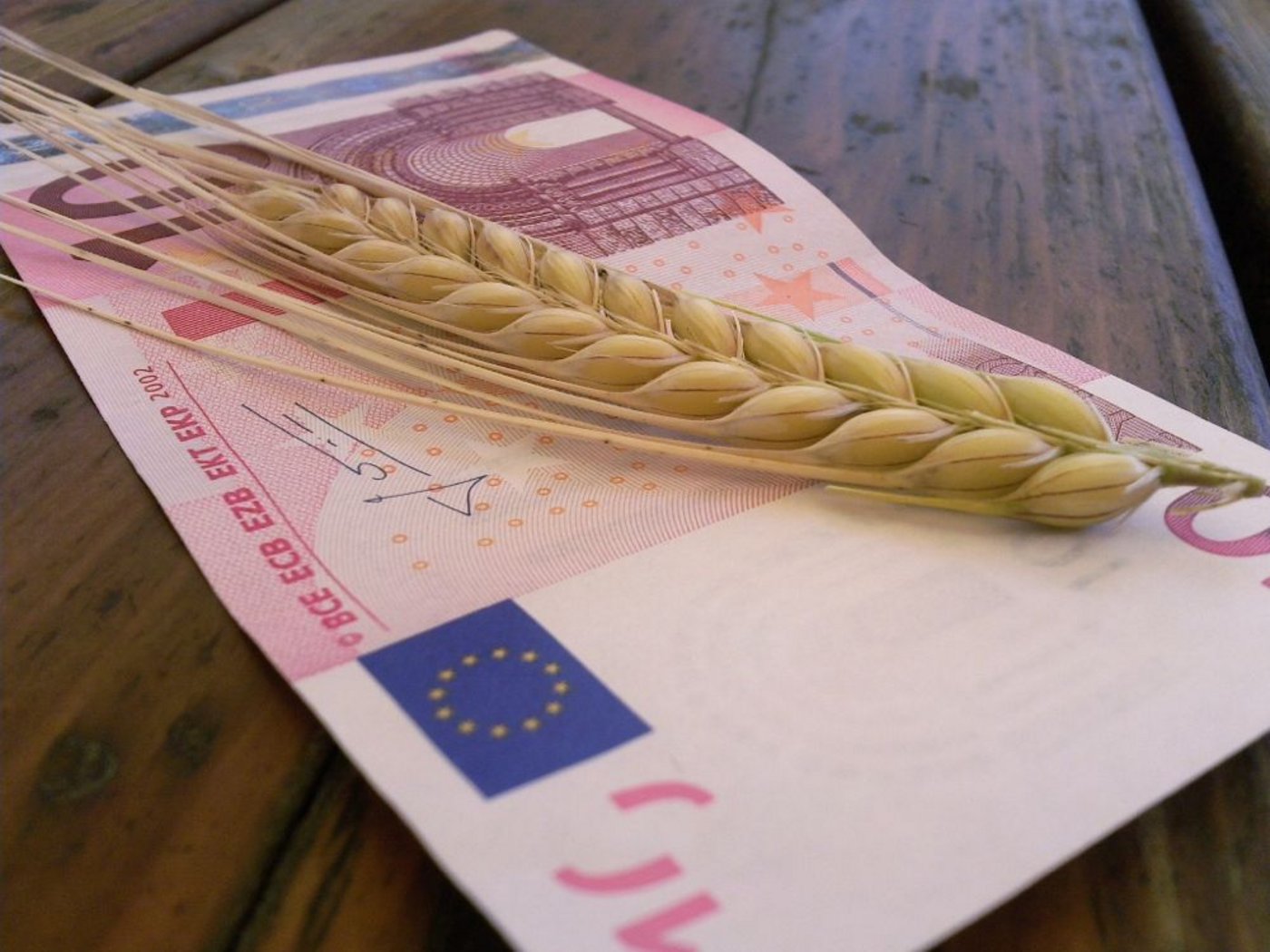 Geld kann man nicht essen: Die Initiative gegen Nahrungsmittelspekulation der Juso ist zustande gekommen. (Bild: Günter Havlena / pixelio.de)