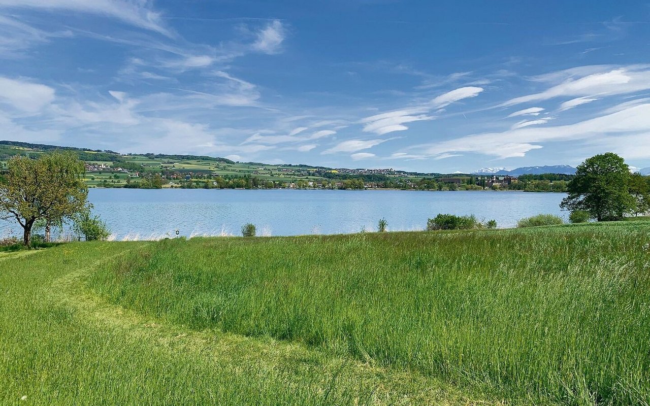 Wegen überwiegender Interessen des Naturschutzes gelten am Baldeggersee teils stark erweiterte Gewässerräume. Die Festlegung gibt im Kantonsrat zu reden. 