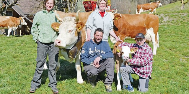 Philipp und Marlen Hertig und ihre Kinder Janine und Felix lieben ihre Kühe. Hier präsentieren sie die reine Simmentalerkuh Burlan Blüemli mit ihrem Kalb Mario Oklahoma. «Ohne Kühe – unvorstellbar. Wir sind zu gerne Züchter», so der Tenor.(Bilder Peter Fankhauser)