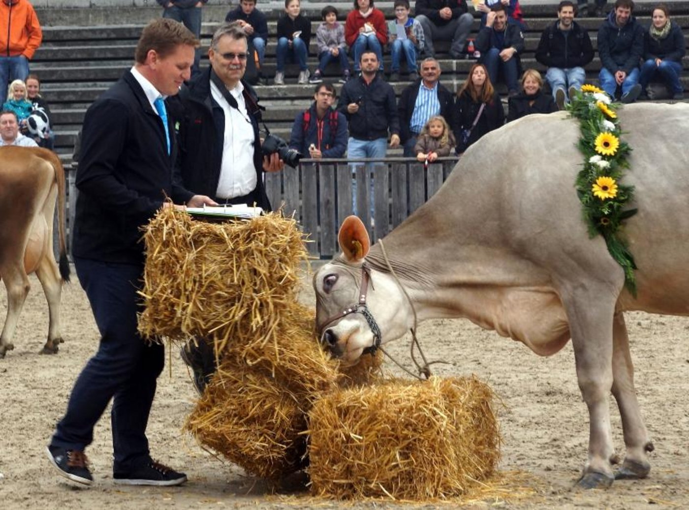 In der Arena wurden viele Darbietungen gezeigt. (Bild rae)