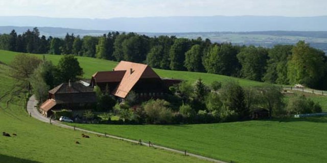 Die Kleinbauern-Vereinigung befürchtet, dass Quereinsteiger von den Unterstützungsgeldern ausgeschlossen werden könnten. (Bild lid)