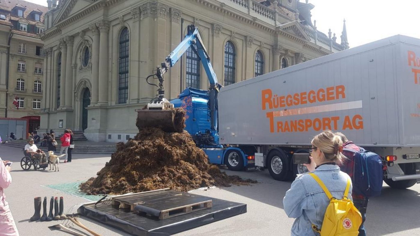 Den Transport des Mists übernahm die Firma Rüegsegger. (Bild joy)