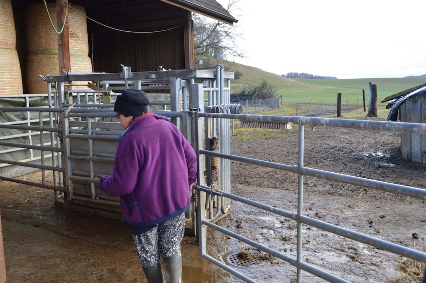 Margrit Binder öffnete ihre Stalltür für die Veganerin.