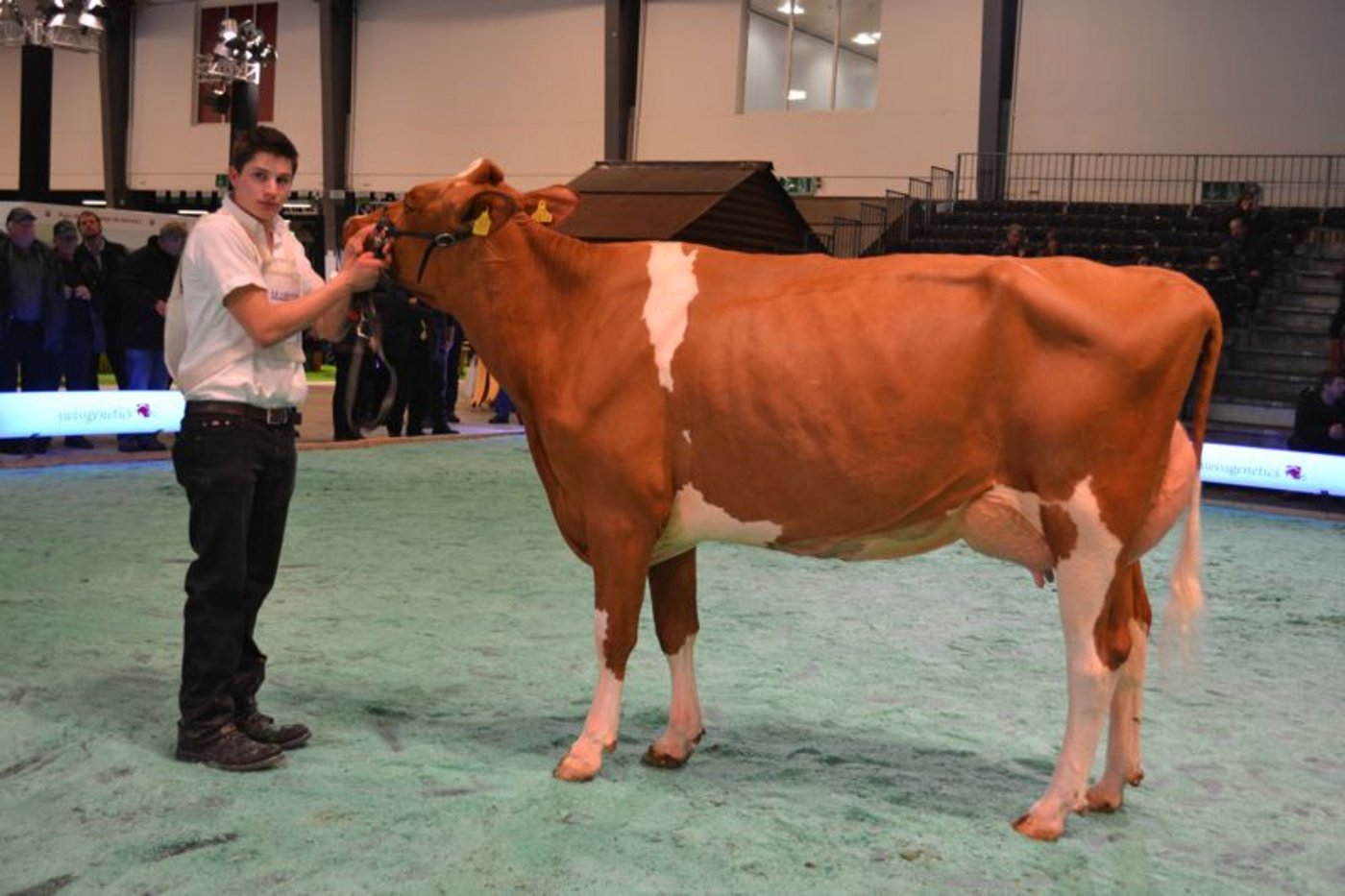 Schöneuter: Renato Kate, Jan Jungen, Kiental