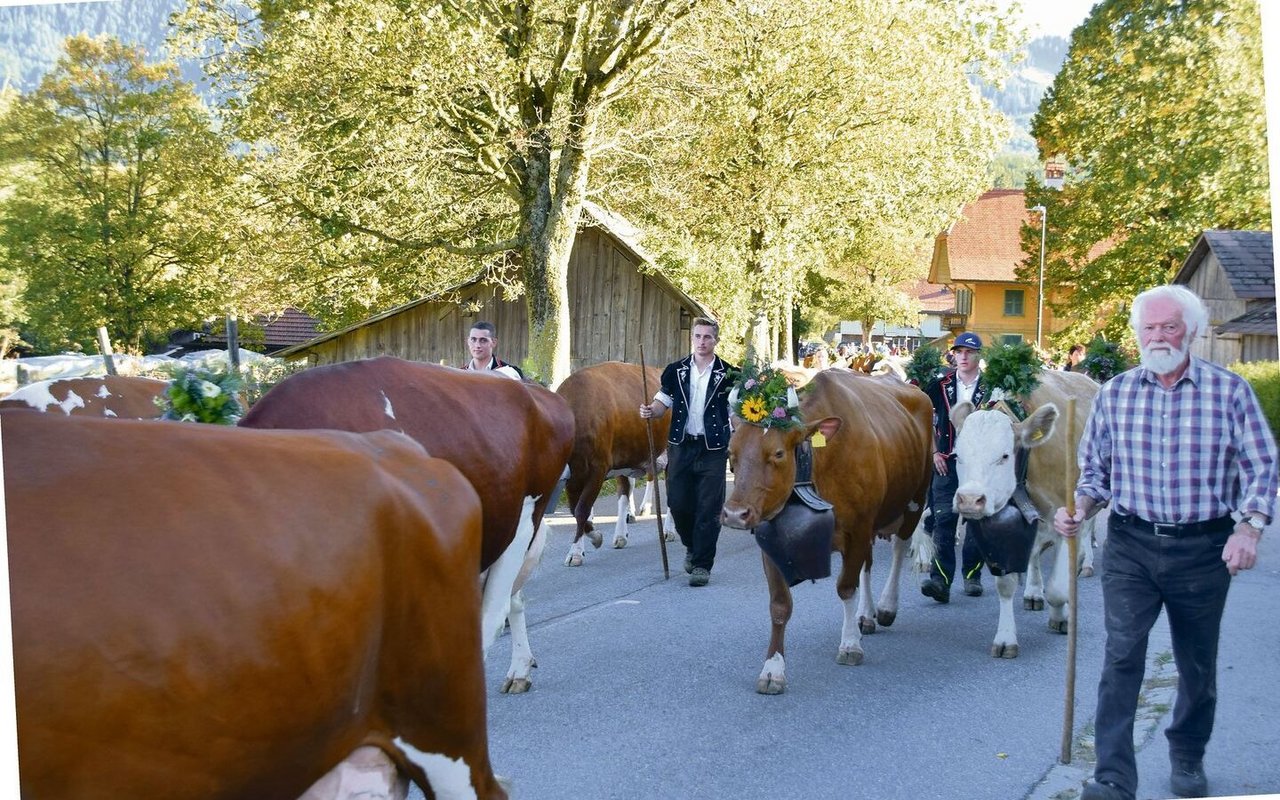 Um 17 Uhr geht es mit einer schönen Züglete wieder nach Hause. Mit dabei ist auch Grossvater Werner Dürrenmatt. Über eine Stunde dauert der Fussmarsch.