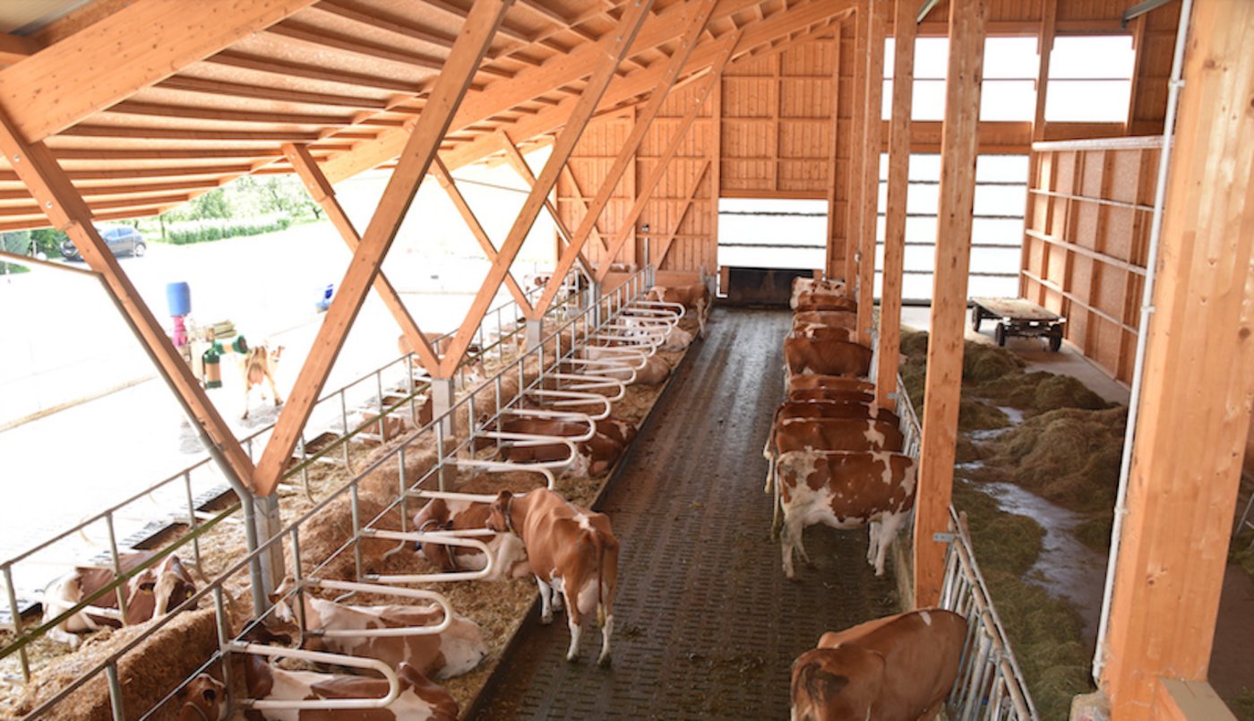 Der schöne Laufstall der Familie Zahnd. Am 21. und 22. August ist Tag der offenen Tür. (Bilder Peter Fankhauser)