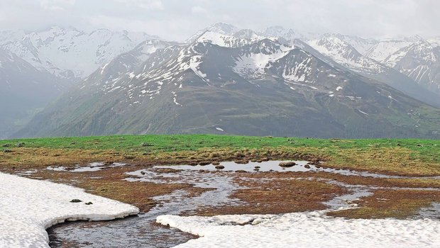 Eine Studie wies zwar nur einen leichten Trend zur früheren Ausaperung nach. Aber die höheren Temperaturen nach der Schneeschnmelze lassen die Vegetation schneller wachsen als noch vor 25 Jahren.
