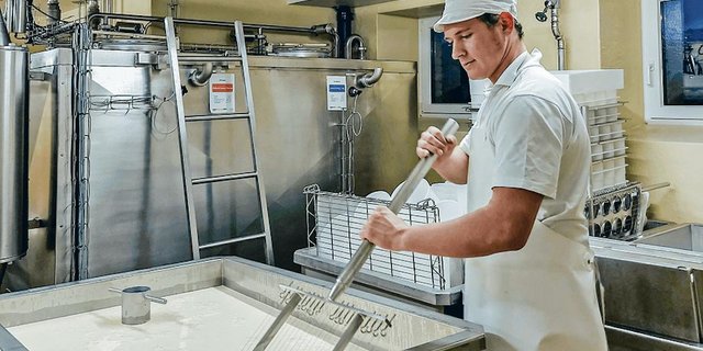 Nick Häller aus Ruswil LU macht sein 3. Lehrjahr zum Milchtechnologen in der Bio-Käserei Burgrain in Alberswil LU. (Bild Nick Häller)