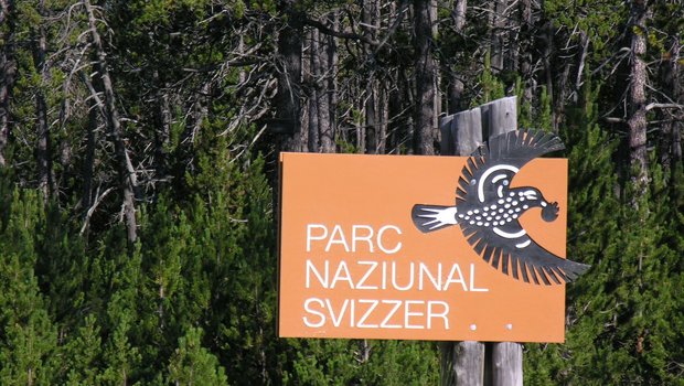 Im Nationalpark wurde der Bach Spöl mit PCB vergiftet. Das geschah bereits 2016. (Bild Hansueli Krapf)