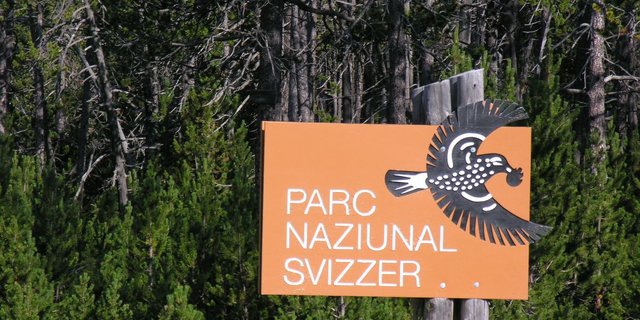 Im Nationalpark wurde der Bach Spöl mit PCB vergiftet. Das geschah bereits 2016. (Bild Hansueli Krapf)