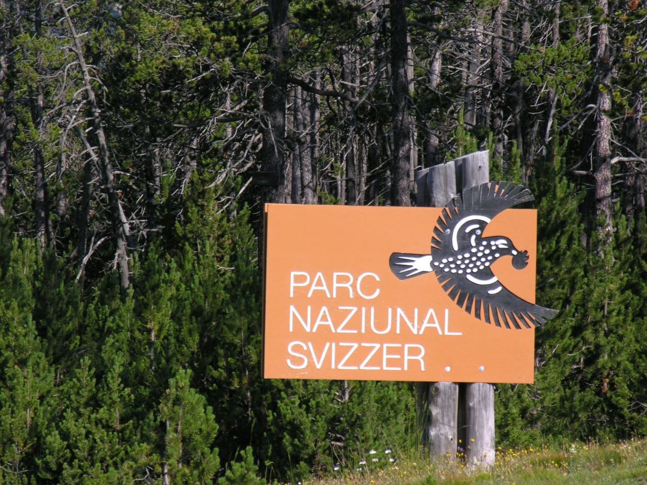 Im Nationalpark wurde der Bach Spöl mit PCB vergiftet. Das geschah bereits 2016. (Bild Hansueli Krapf)