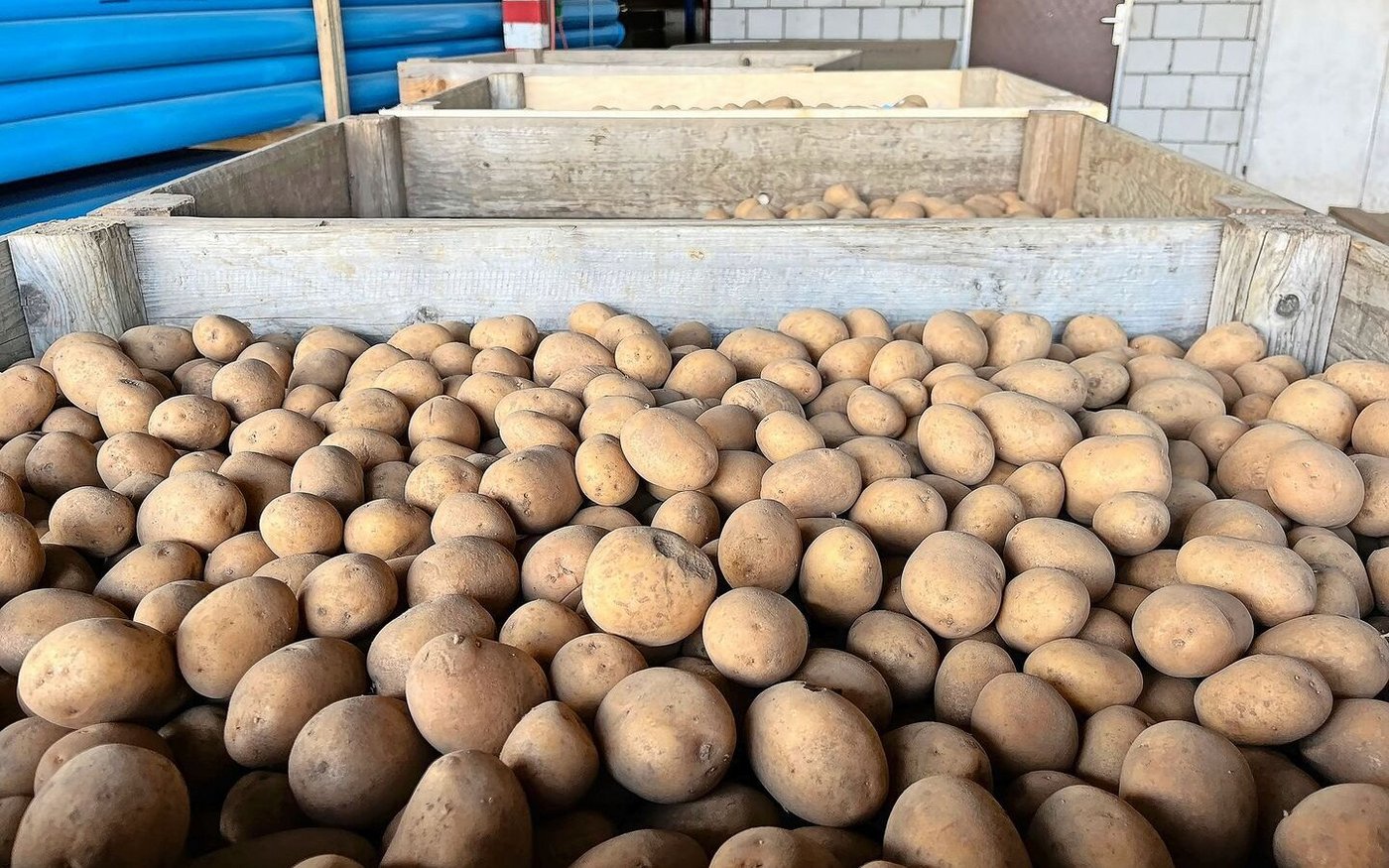 Gebinde besitzen oder mieten? Nach diesem Jahr der Knappheit und der Improvisation werden sich so manche Produzenten die Frage stellen, wofür sie sich nächste Saison entscheiden werden.