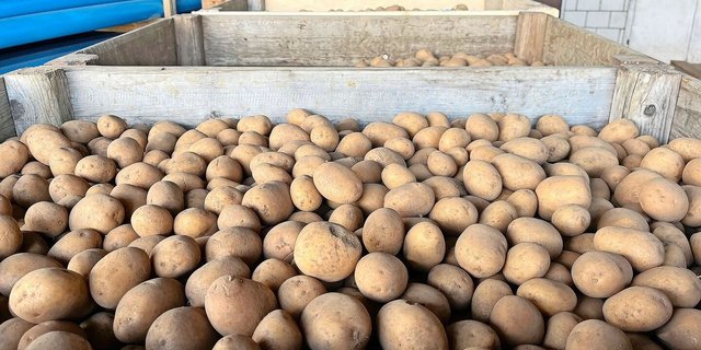 Gebinde besitzen oder mieten? Nach diesem Jahr der Knappheit und der Improvisation werden sich so manche Produzenten die Frage stellen, wofür sie sich nächste Saison entscheiden werden.