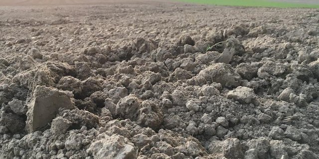 Die Äcker sind vorbereitet, die Arbeit geht weiter – das BLW würdigt die stetige und wichtige Arbeit von Bäuerinnen und Bauern. (Bild jsc)