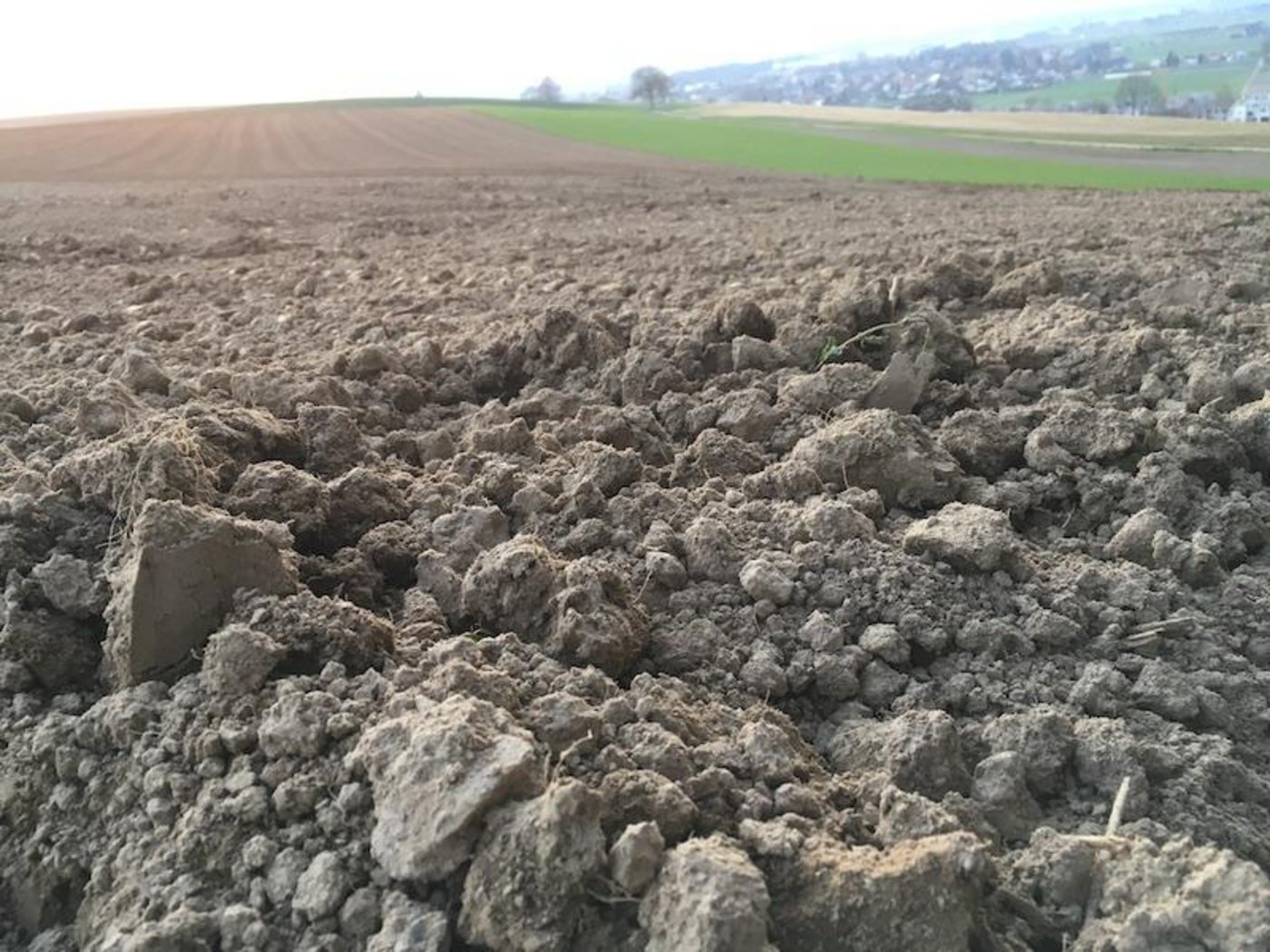 Die Äcker sind vorbereitet, die Arbeit geht weiter – das BLW würdigt die stetige und wichtige Arbeit von Bäuerinnen und Bauern. (Bild jsc)