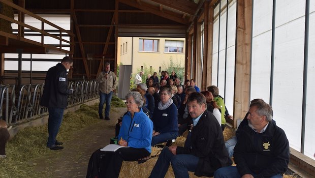 Wohin geht es mit der Schweizer Milchproduktion? Darüber diskutierten die Bauernpolitiker im Milchviehstall von Peter Schlauri. (Bild sgi)
