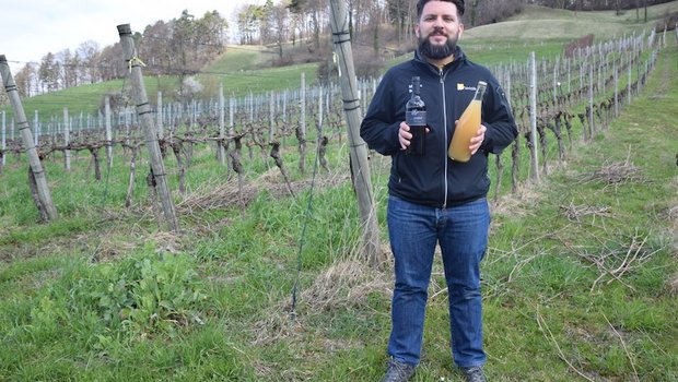 Michele Bono, Betriebsleiter Rebbau und Trotte am Strickhof, hat sichtlich Freude an seinen Trendprodukten: Orange Wine (links) und Pétillant Naturel. (Bild et)