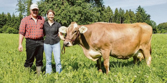 Jason Kenia von Christian und Jasmin Albrecht ist mittlerweile 23 Jahre alt (im Bild 13 Jahre). Sie ist die älteste Kuh der Schweiz mit einer Lebensleistung von 175 '000 kg Milch. (Bild Braunvieh Schweiz)