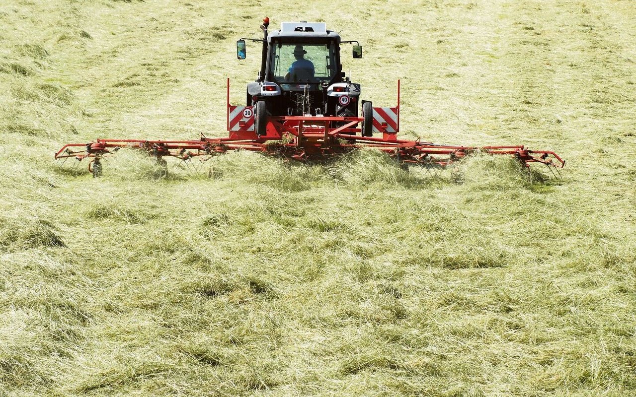 Heu, so weit das Auge reicht: Die Bauernfamilien haben in den vergangenen Tagen Vollgas gegeben und reichlich Futter eingefahren. Jetzt wird das Tempo ruhiger auf der Wiese. 