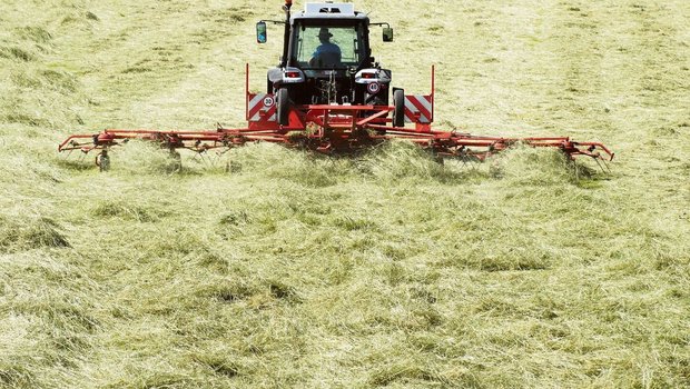 Heu, so weit das Aug Heu, so weit das Auge reicht: Die Bauernfamilien haben in den vergangenen Tagen Vollgas gegeben und reichlich Futter eingefahren. Jetzt wird das Tempo ruhiger auf der Wiese.