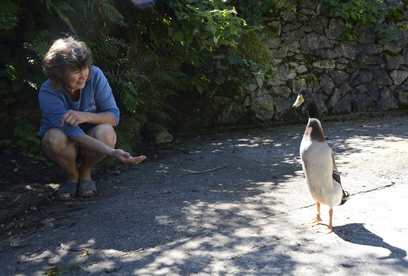 Pia Oechslin mit dem zahmen Laufenten-Erpel Edi, der sich lieber vor der Kamera in Pose warf, statt sich zu seiner Besitzerin zu gesellen. (Bild Andrea Gysin)