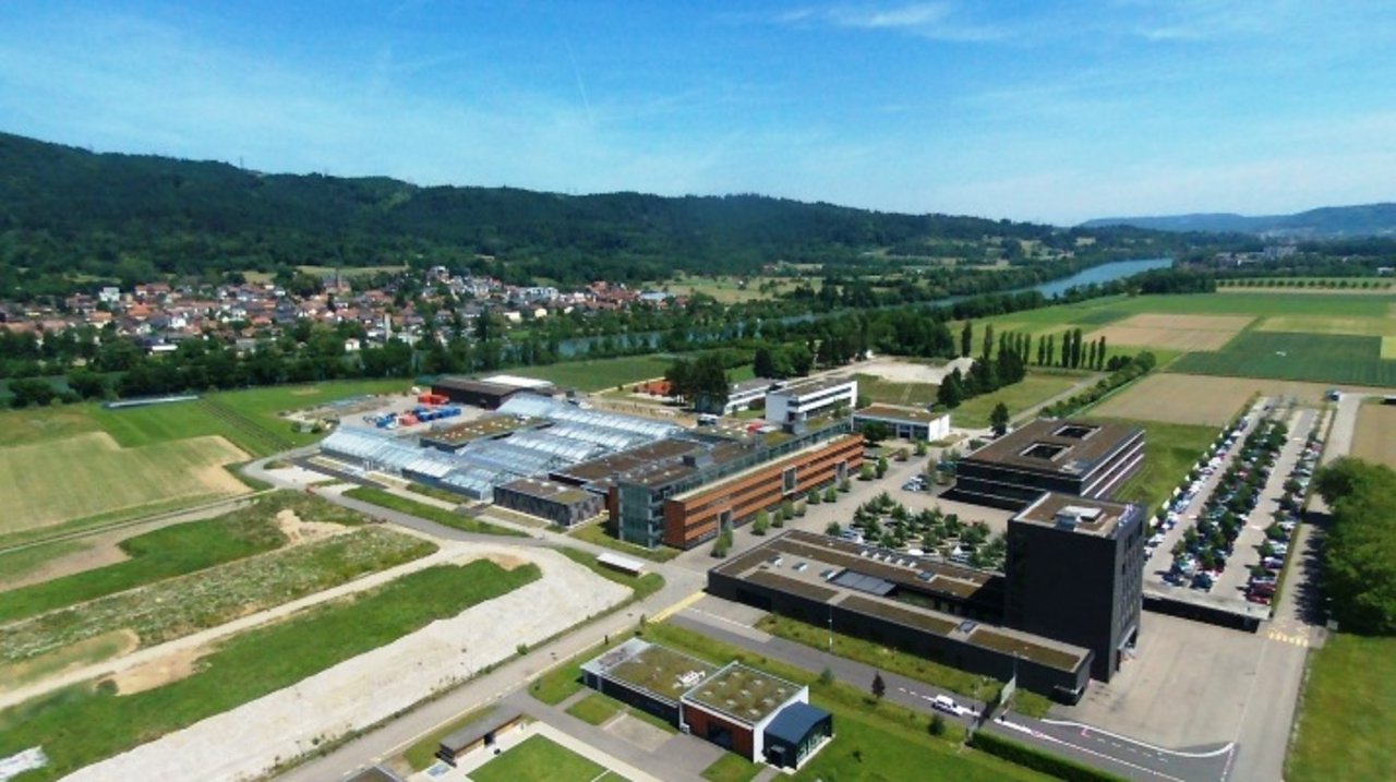 In Stein AR forscht Syngenta in Laboren, Gewächshäusern und auf Aussenflächen. (Bild Syngenta)