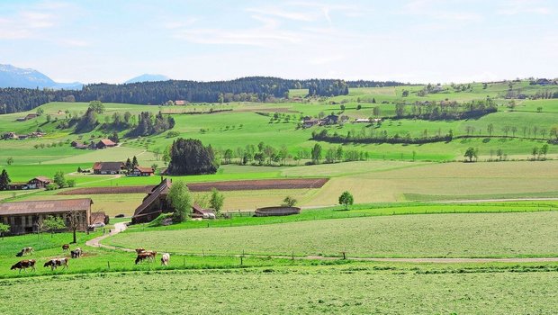 Die grosse Artenvielfalt in der Schweiz führt Marcel Züger auf die abwechslungsreiche Topografie zurück. Eine «Problemzone» sei das Mittelland, genauer die Agglomerationen und ihr Umfeld.