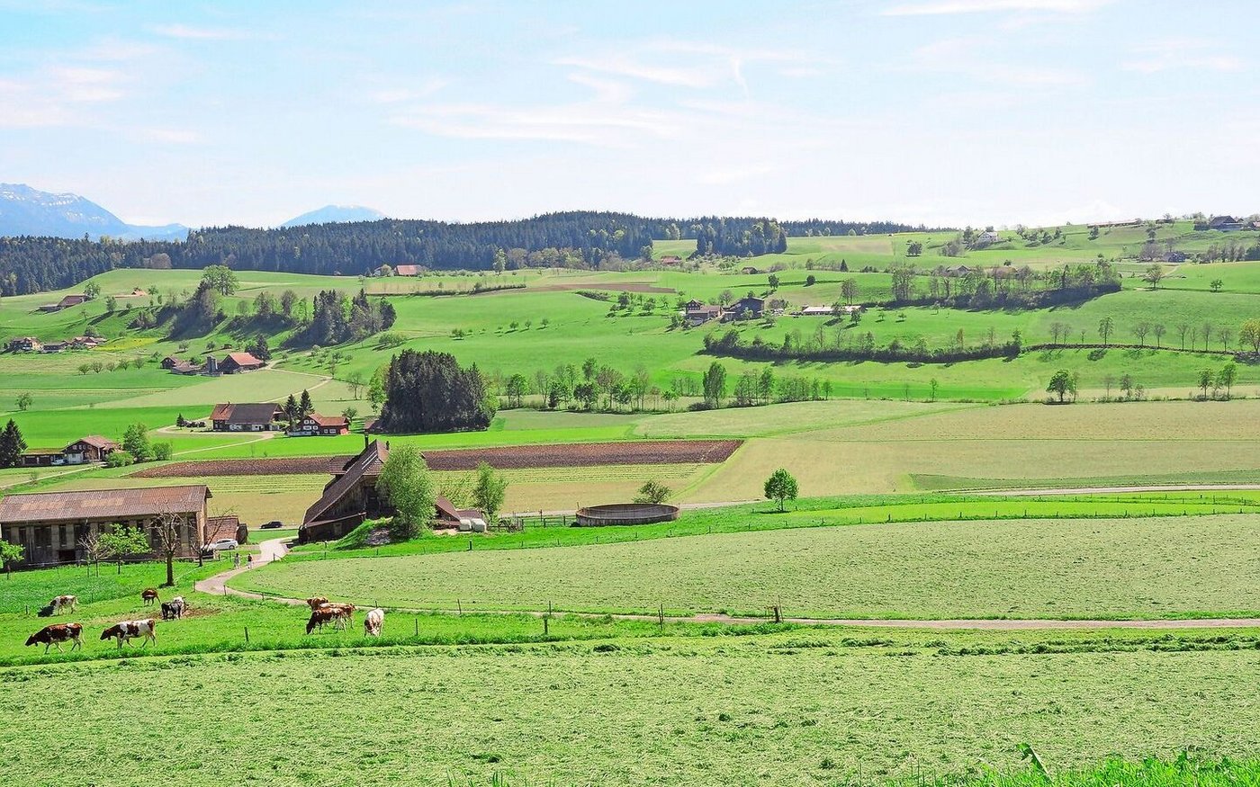 Die grosse Artenvielfalt in der Schweiz führt Marcel Züger auf die abwechslungsreiche Topografie zurück. Eine «Problemzone» sei das Mittelland, genauer die Agglomerationen und ihr Umfeld.