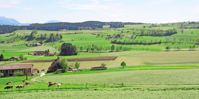Die grosse Artenvielfalt in der Schweiz führt Marcel Züger auf die abwechslungsreiche Topografie zurück. Eine «Problemzone» sei das Mittelland, genauer die Agglomerationen und ihr Umfeld.