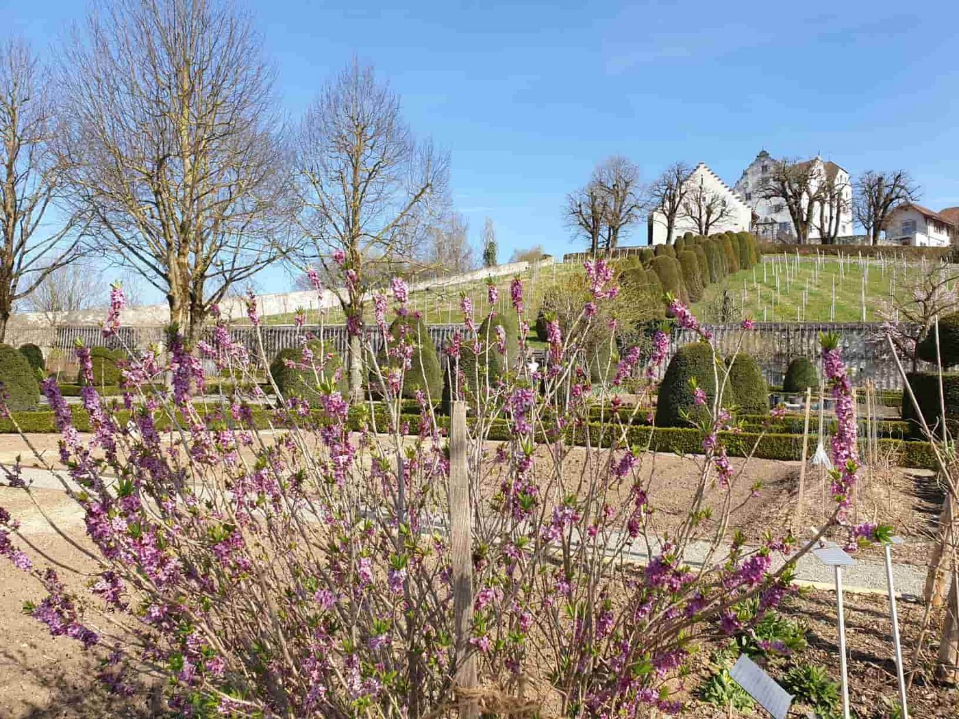 Blick vom Neugarten aus auf den Schlossberg. (Bild Ruth Aerni)