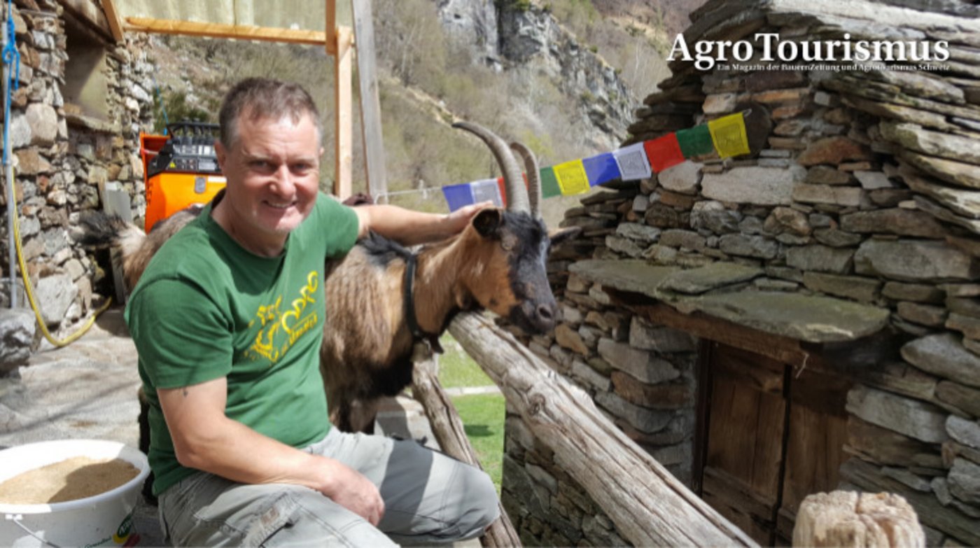 Tobias Bührer kümmert sich in Odro um 28 Ziegen, Hühner und eine Katze aber auch mit Leidenschaft um angewanderte Gäste. (Bilder Gerhard Lob)