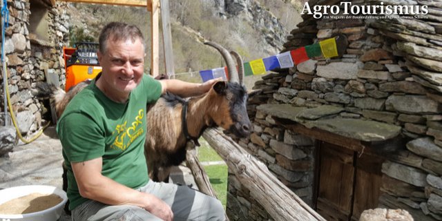 Tobias Bührer kümmert sich in Odro um 28 Ziegen, Hühner und eine Katze aber auch mit Leidenschaft um angewanderte Gäste. (Bilder Gerhard Lob)