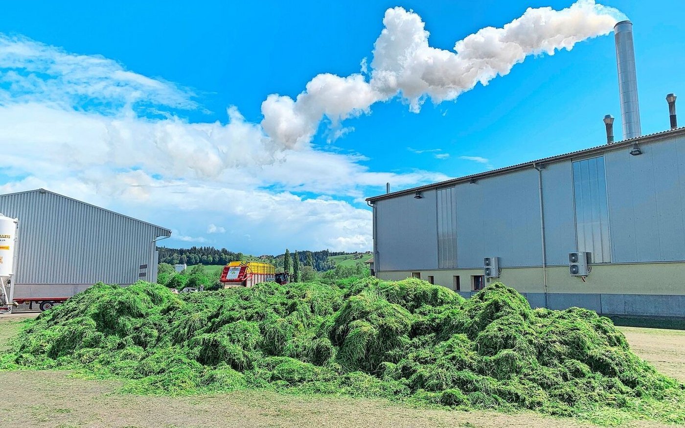 Künstlich getrocknetes Wiesenfutter enthält rund 15 Prozent mehr pansenstabiles Eiweiss als Dürrfutter.