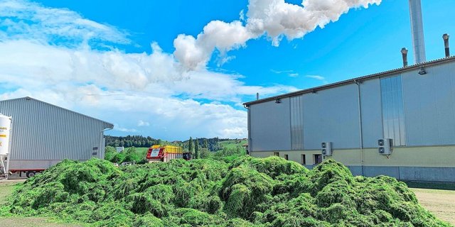 Künstlich getrocknetes Wiesenfutter enthält rund 15 Prozent mehr pansenstabiles Eiweiss als Dürrfutter.